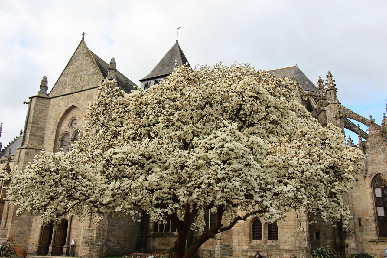 Bed and Breakfast La Tocade Del Arte - Dinan Lanvallay Exterior foto
